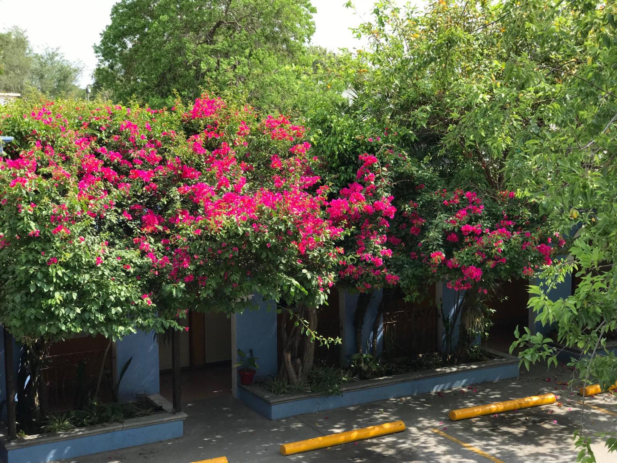 Hotel Hacienda Del Viejo Matamoros  Exterior photo