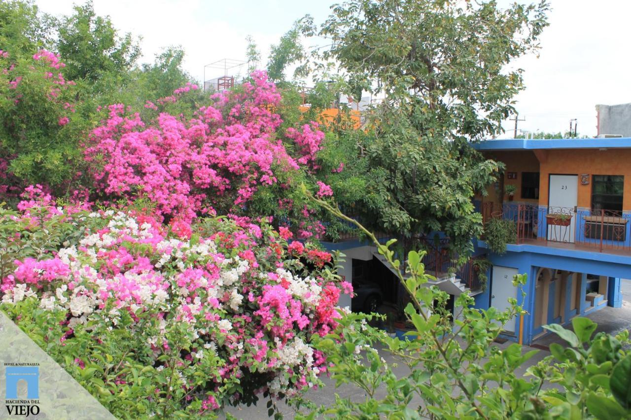 Hotel Hacienda Del Viejo Matamoros  Exterior photo